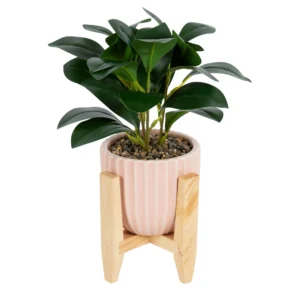 11”Artificial Peperomia Plant in Pink Ribbed Ceramic Pot