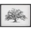 House Elm Tree on Parchment Framed Art 24" x 18"
